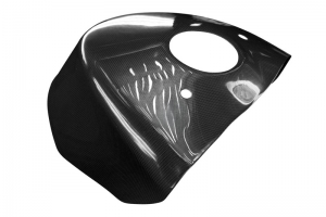 BMW S 1000 RR 2015-2018 Tank cover - rear partt - Carbon - Plain - Glossy