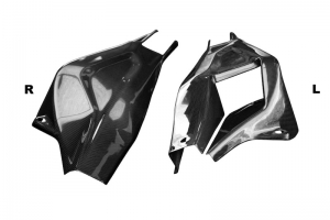 BMW S 1000 RR 2019-2021 CARBON - PLAIN - Glossy - Swing-arm covers - pair - version 2