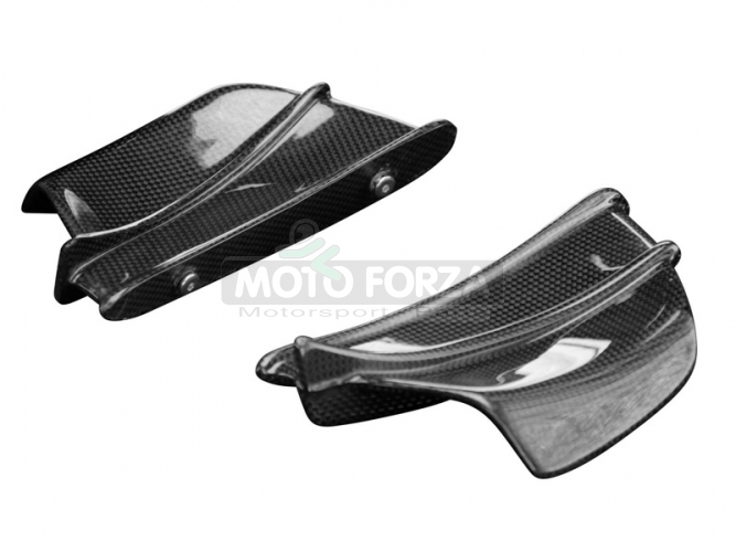 BMW S1000RR /S1000R - Aero Winglets L+R - set - CARBON -plain - glossy