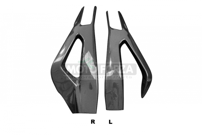 BMW S 1000 RR 2019-2021 CARBON - PLAIN - Glossy - Swing-arm covers - pair