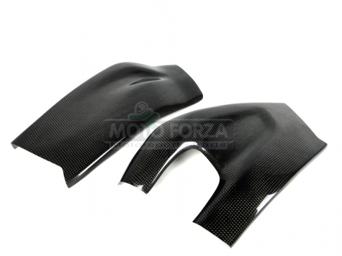 CARBON Plain - glossy - Swing-arm covers - pair BMW S1000RR 09-18 / R 12-14