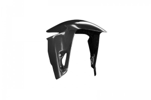 Ducati 955 Panigale V2 2020-2024 Front fender, CARBON Plain Glossy