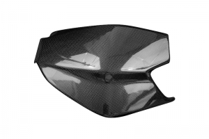 Ducati 955 V2 Panigale Swing arm cover -  carbon plain - glossy