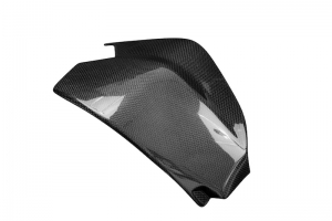 Ducati 955 V2 Panigale Swing arm cover -  carbon plain - glossy