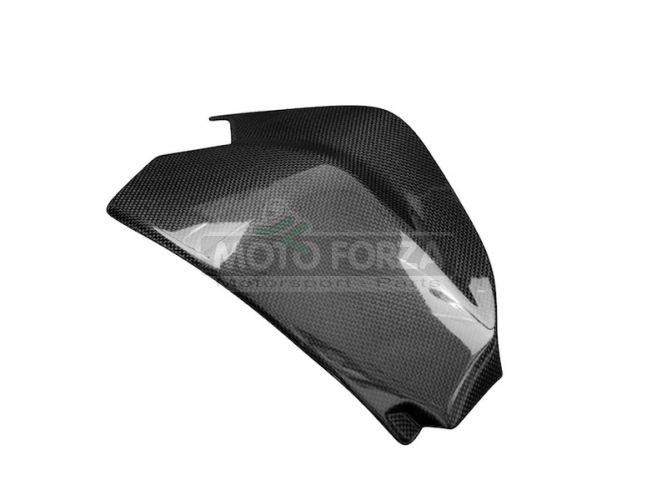 Ducati 955 V2 Panigale Swing arm cover -  carbon plain - glossy