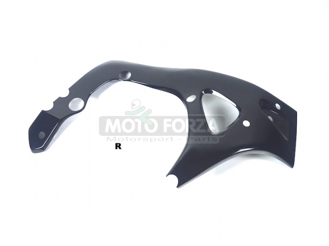 Honda  CBR 600 RR 2007-2020 Frame cover R coloured GRP 