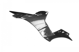 Kawasaki H2/H2R 2015+ - Swing arm cover CARBON Twill glossy