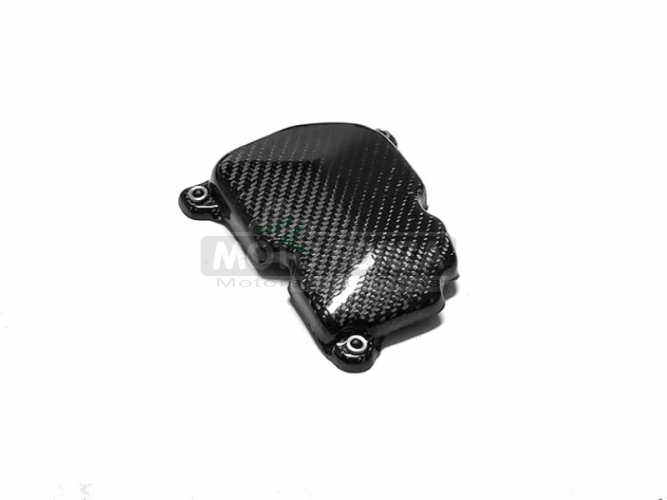 Kawasaki ZZR 1400 (ZX-14/ZX-14R) 2006+ - pick up cover - CARBON twill glossy