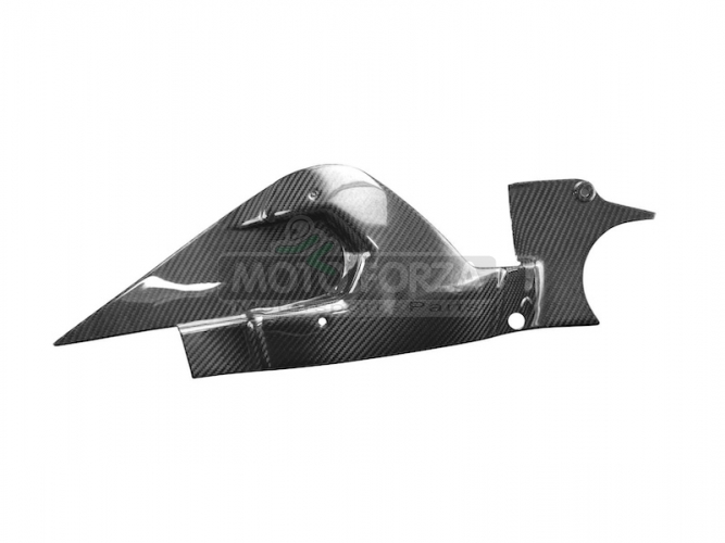 Kawasaki H2/H2R 2015+ - Swing arm cover CARBON Twill glossy