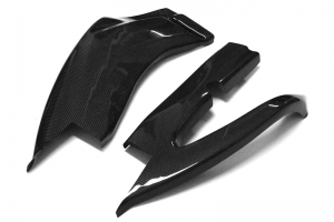 Suzuki GSX-R 1000 2009-2015 (K9-K15)  Swing-arm covers - Pair - CARBON - PLAIN glossy