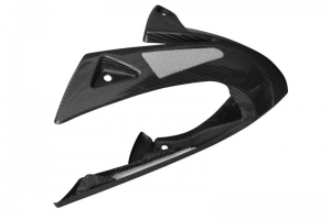 Bellypan - Triumph 1050 Speed Triple 2005-2010, CARBON twill glossy